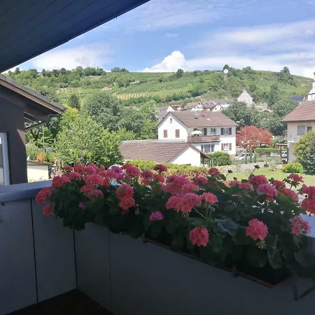 Haus Rhein - Au Apartamento *